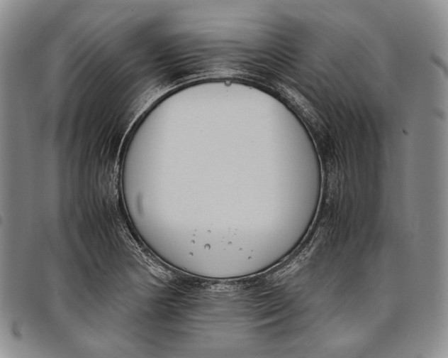 X0000097981178200804141110