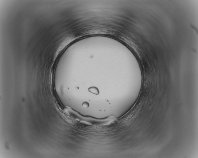 X0000097981179200804141110