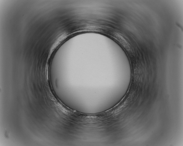 X0000097981180200804141110