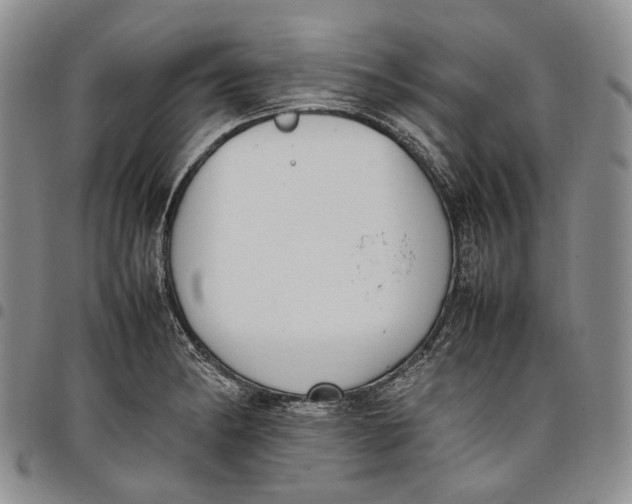 X0000097981182200804141110