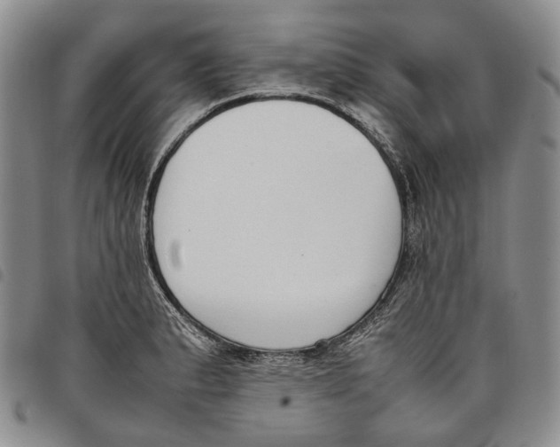 X0000097981183200804141110