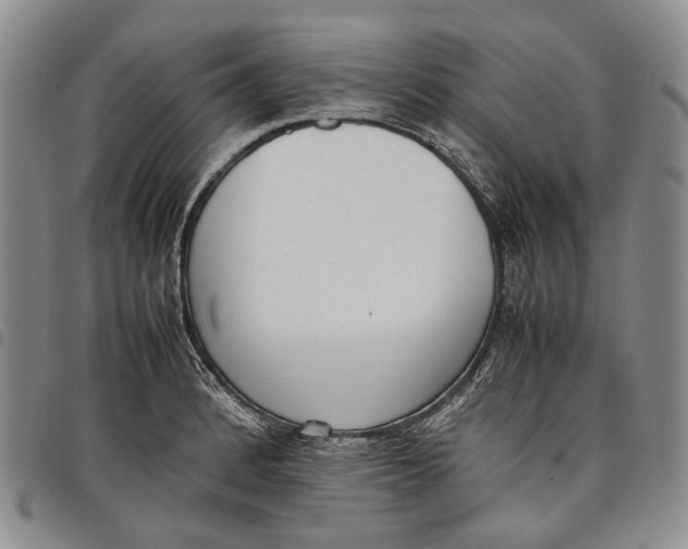 X0000097981184200804141110