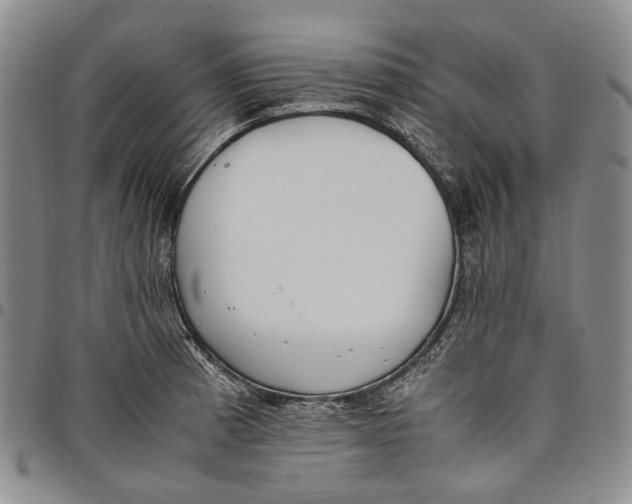 X0000097981185200804141110