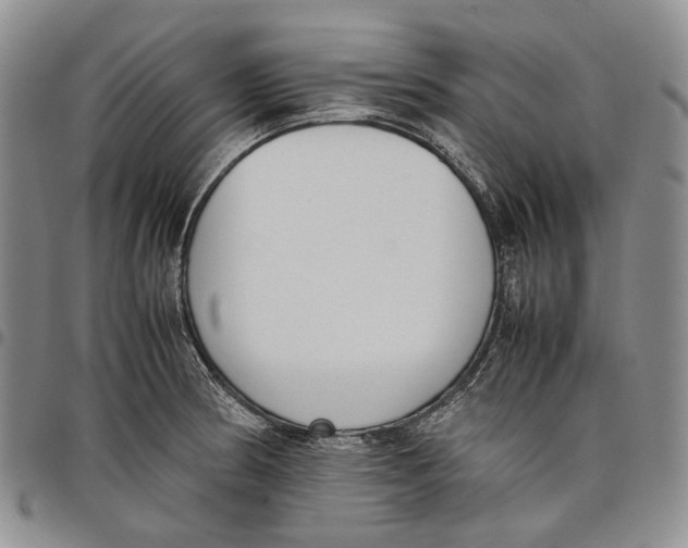 X0000097981186200804141110