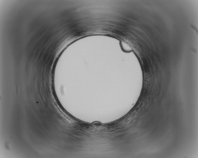 X0000097981187200804141110