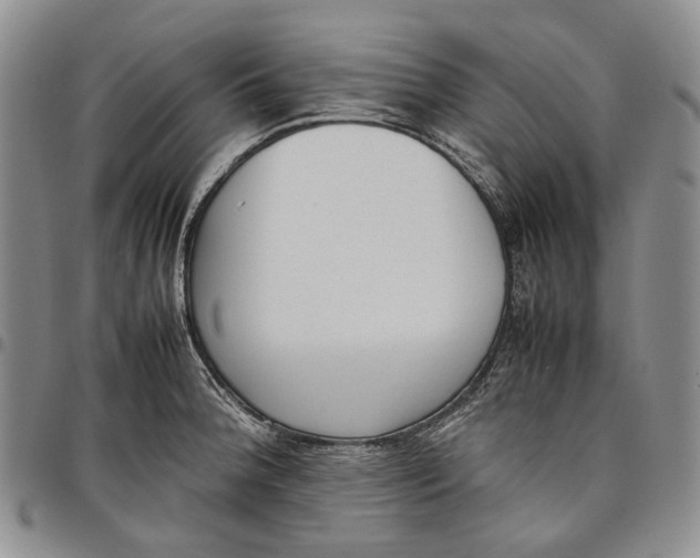 X0000097981188200804141110