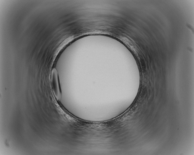 X0000097981189200804141110