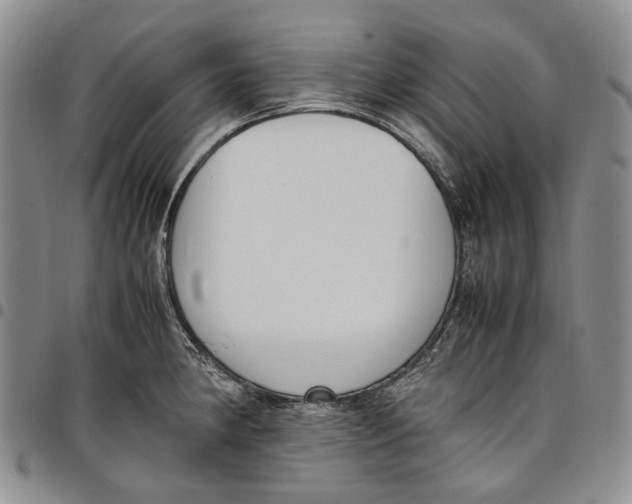 X0000097981190200804141110