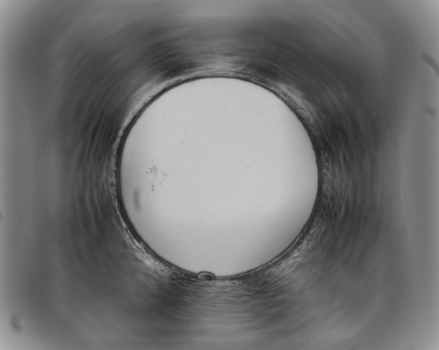 X0000097981192200804141110