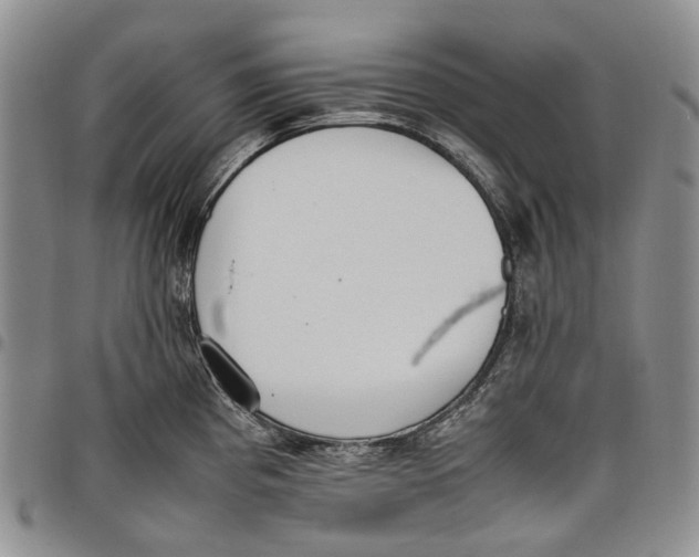 X0000097981193200804141110