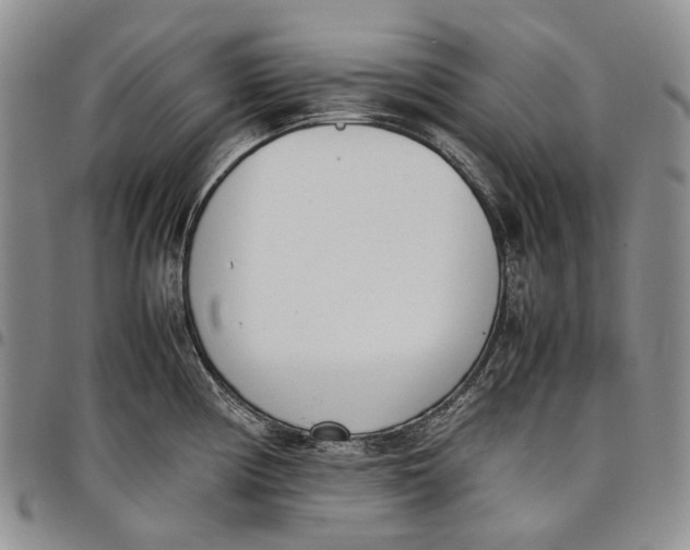 X0000097981194200804141110