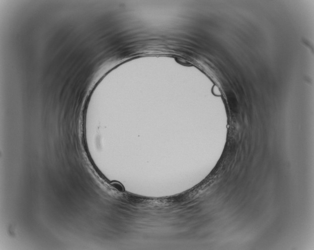 X0000097981195200804141110