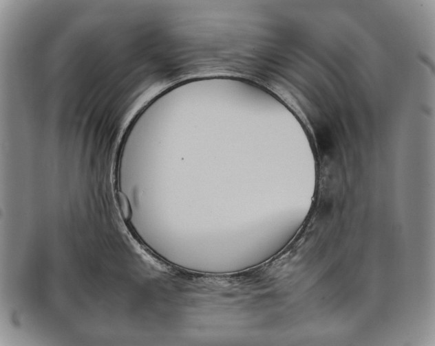 X0000097981197200804141110