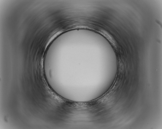 X0000097981198200804141110