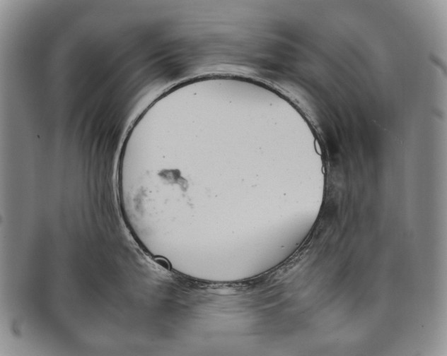 X0000097981199200804141110