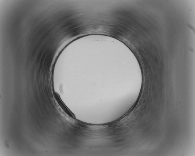 X0000097981200200804141110