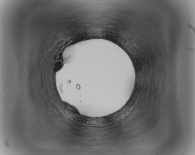 X0000097981201200804141109