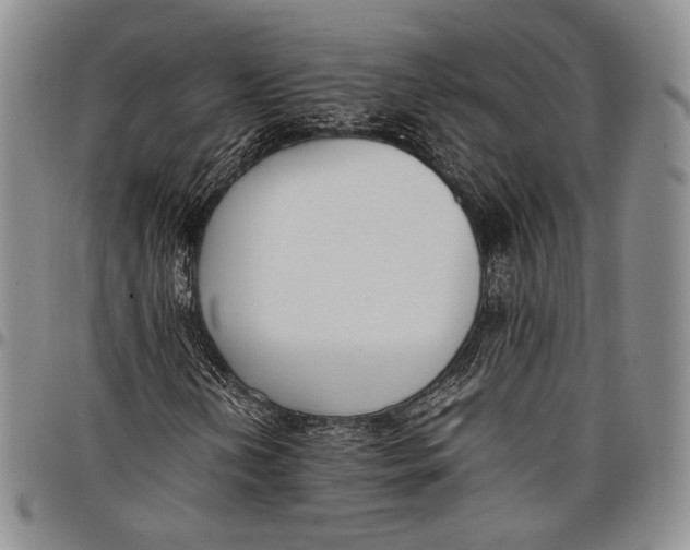 X0000097981202200804141109