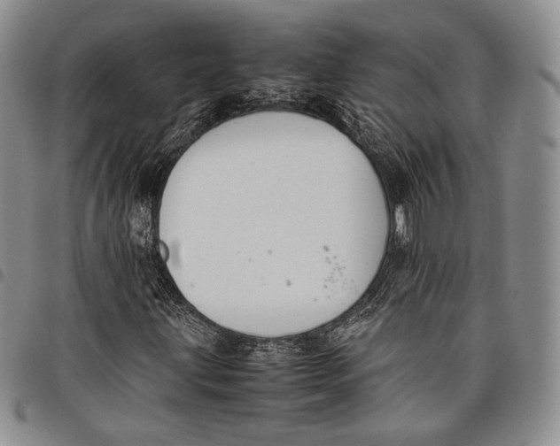 X0000097981203200804141109