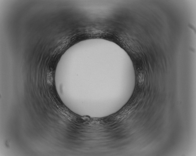 X0000097981204200804141109