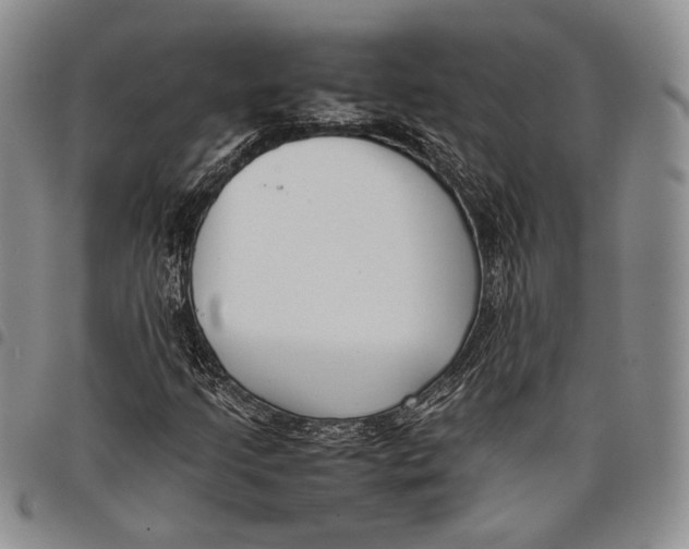 X0000097981205200804141109