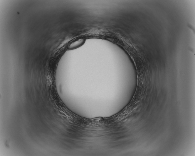 X0000097981206200804141109