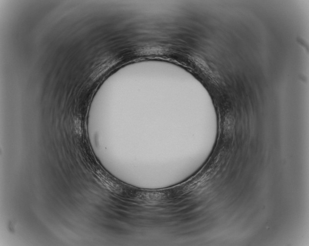 X0000097981209200804141109