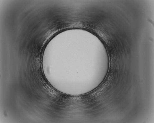 X0000097981212200804141109