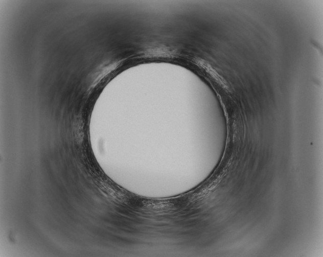 X0000097981213200804141109