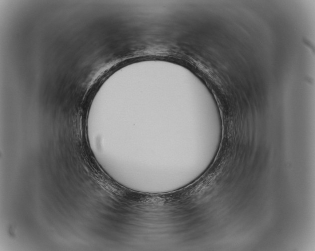 X0000097981214200804141109