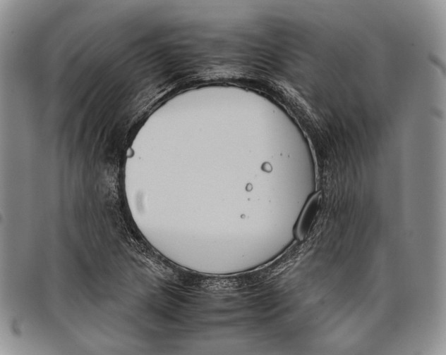 X0000097981217200804141109