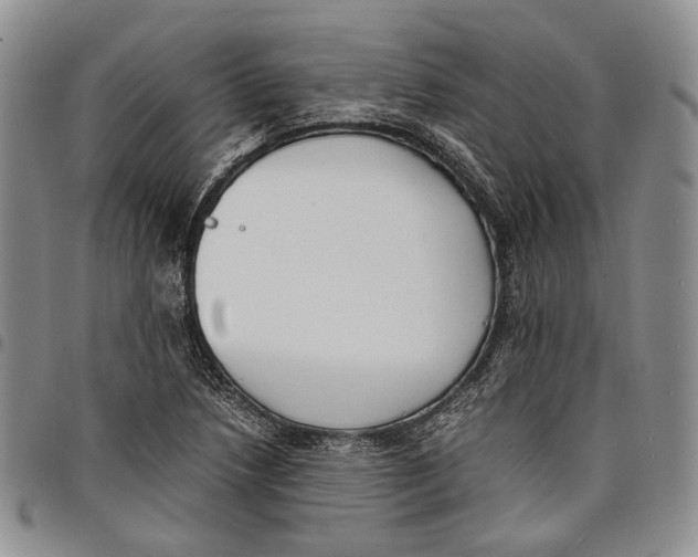 X0000097981218200804141109