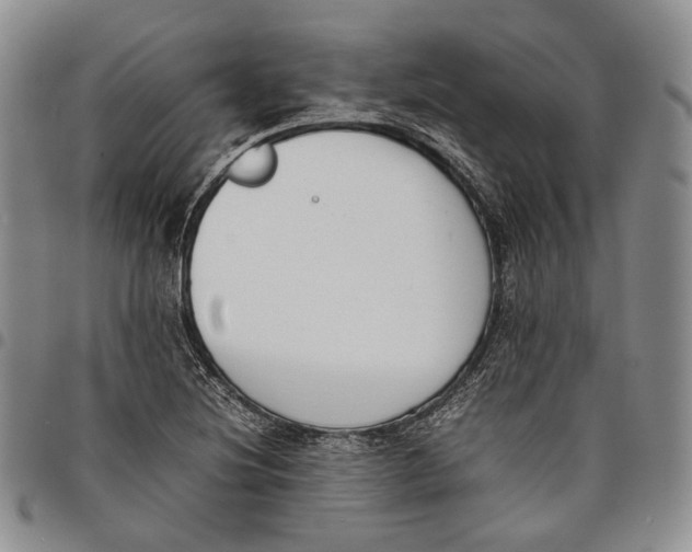 X0000097981220200804141109