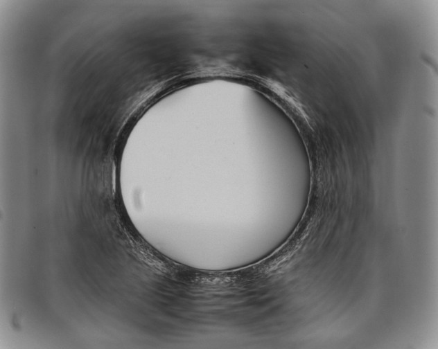 X0000097981221200804141109