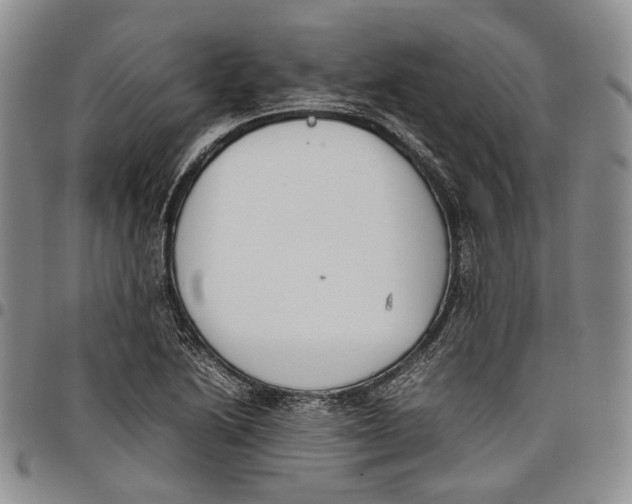 X0000097981222200804141109