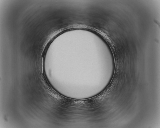 X0000097981223200804141109