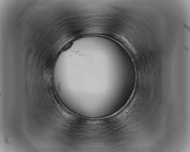 X0000097981225200804141109