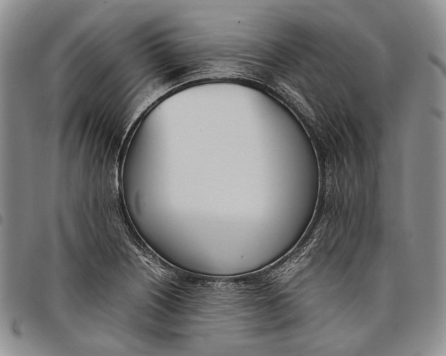 X0000097981226200804141109