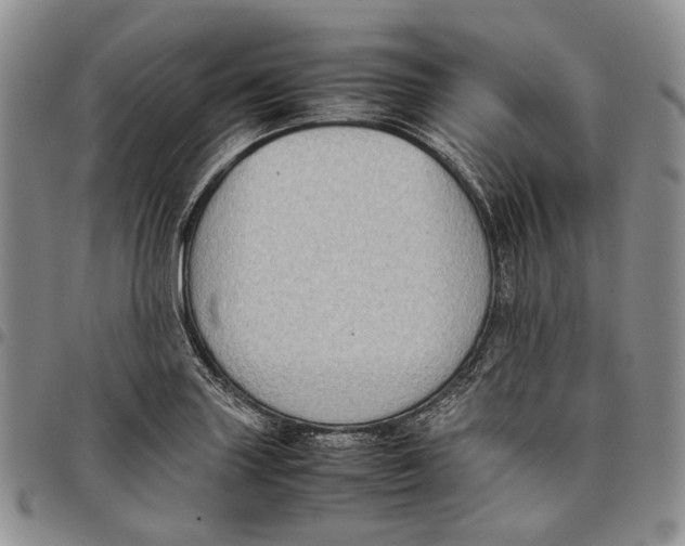 X0000097981227200804141109