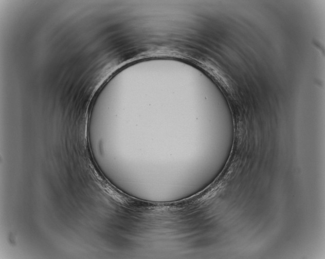 X0000097981228200804141109