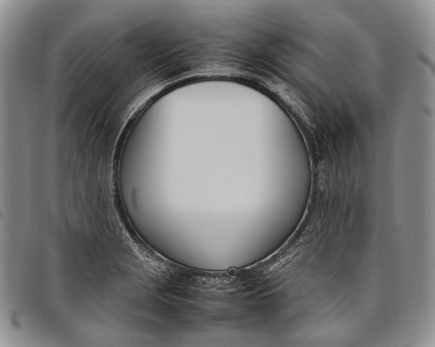 X0000097981229200804141110