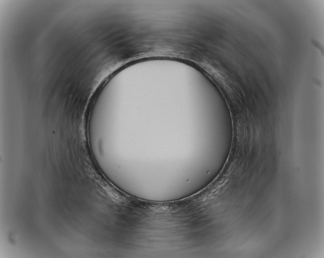 X0000097981230200804141110