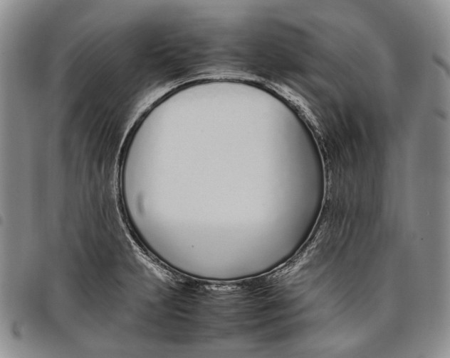 X0000097981231200804141110