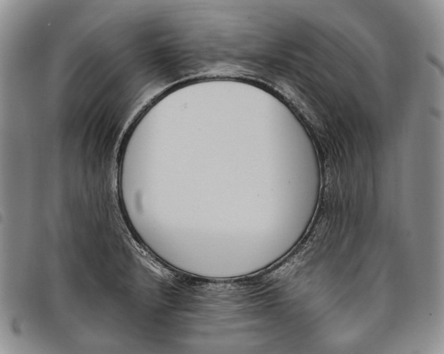 X0000097981232200804141110