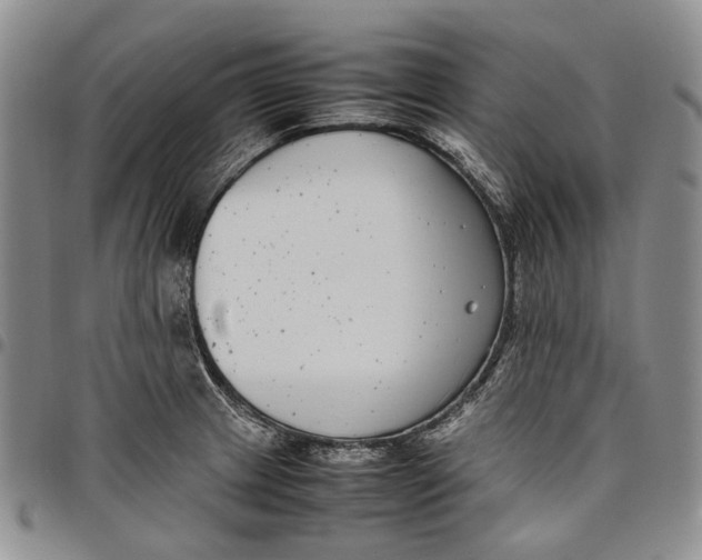 X0000097981233200804141110