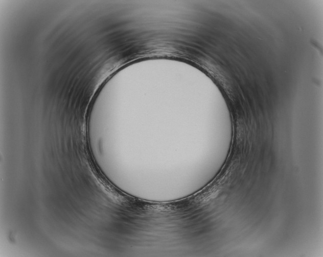 X0000097981234200804141110