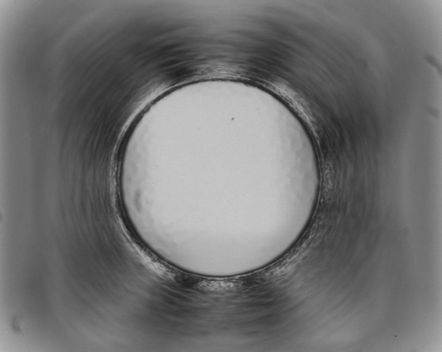 X0000097981235200804141110