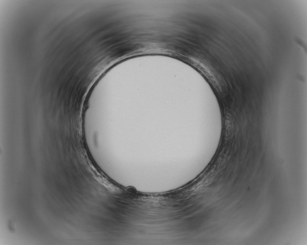 X0000097981236200804141110