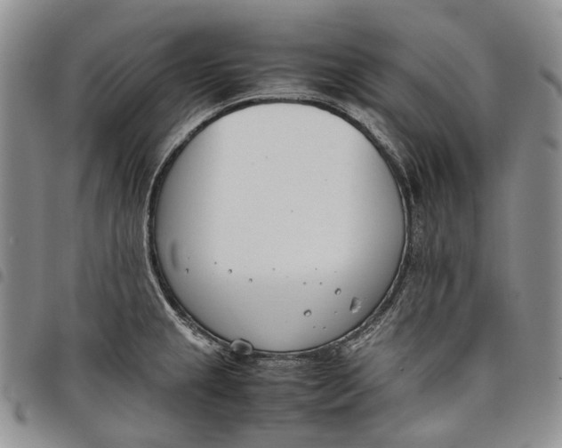 X0000097981237200804141110