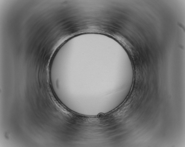 X0000097981238200804141110